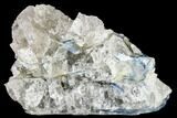 Vibrant Blue Kyanite Crystal In Quartz - Brazil #113485-1